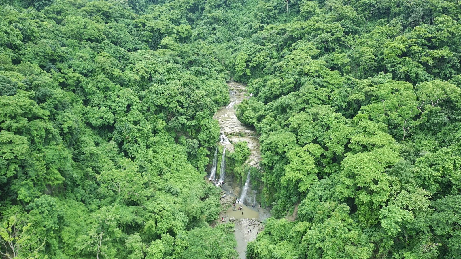 Vista aérea del dosel de un bosque tropical denso atravesado por un cauce
