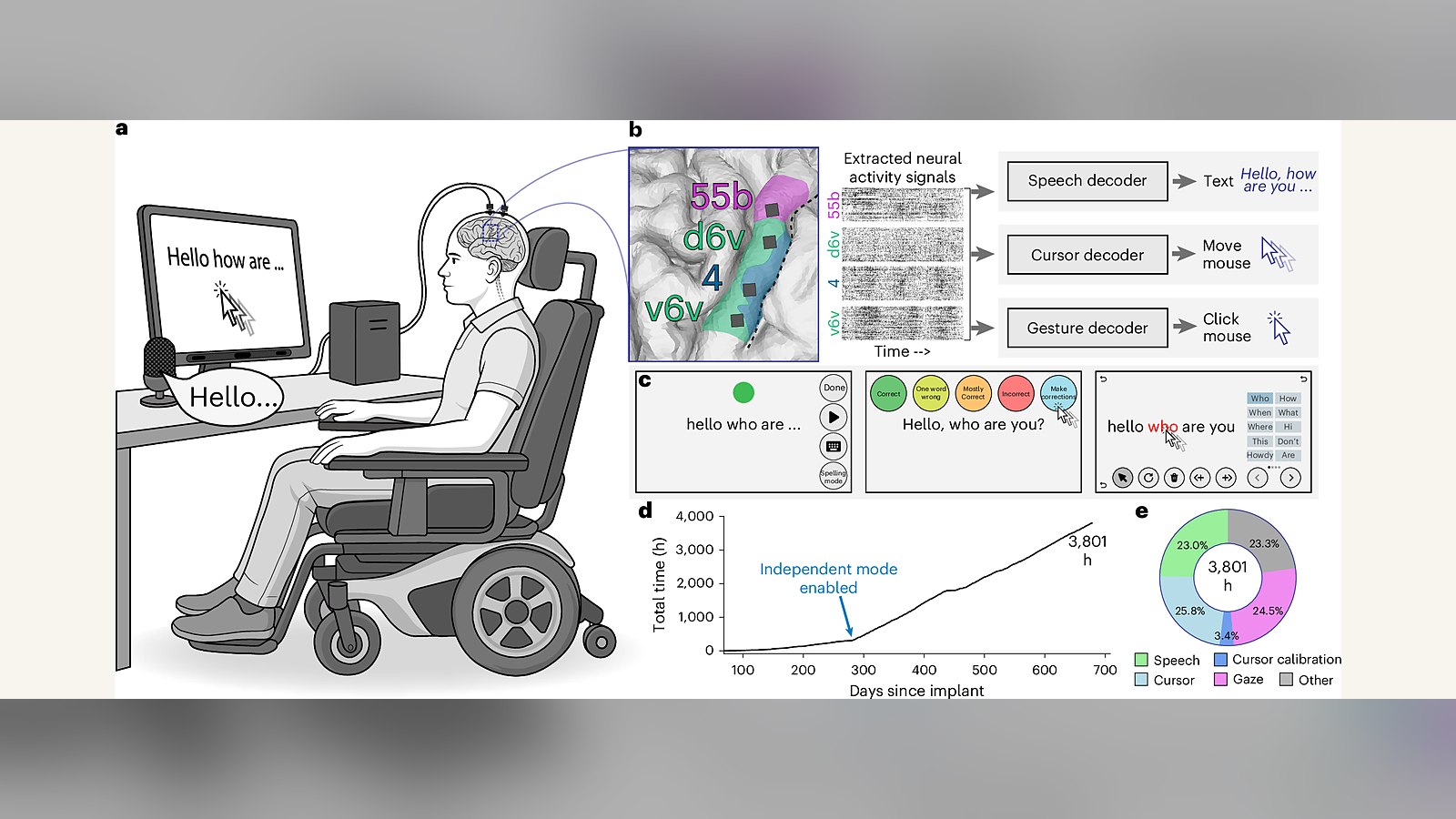 Figura científica que explica cómo una interfaz cerebro-ordenador convierte señales en habla