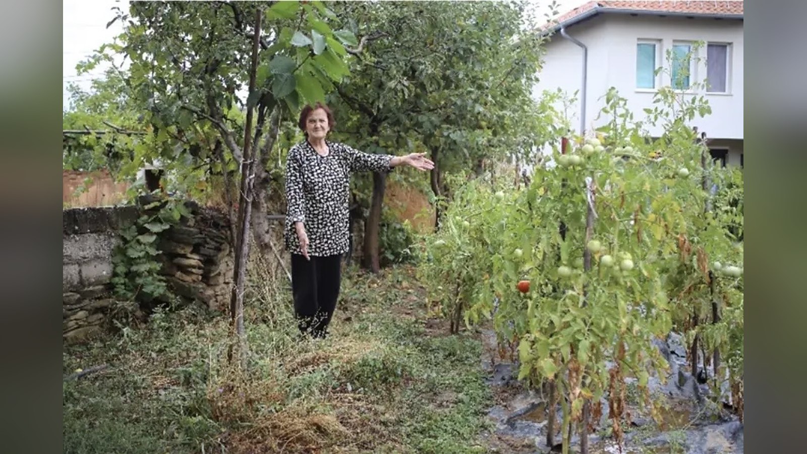 Shaha Bujupi señala las tomateras de su huerto familiar en Kosovo, en un terreno ya desminado